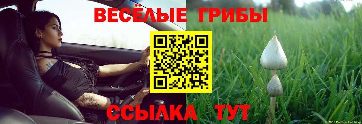 Галлюциногенные грибы мицелий Соликамск