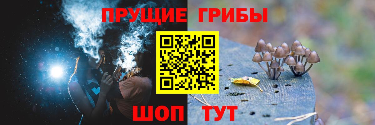 купить наркотики сайты  Псилоцибиновые грибы MAGIC MUSHROOMS  Вход с VPN  Соликамск 