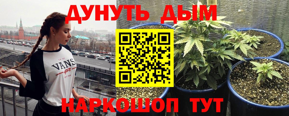 Бошки марихуана ГИДРОПОН Соликамск
